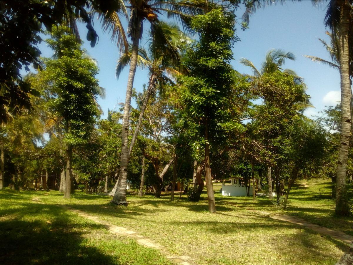 Turtle Cove Lodge And Yoga Shala Tofo Exterior photo