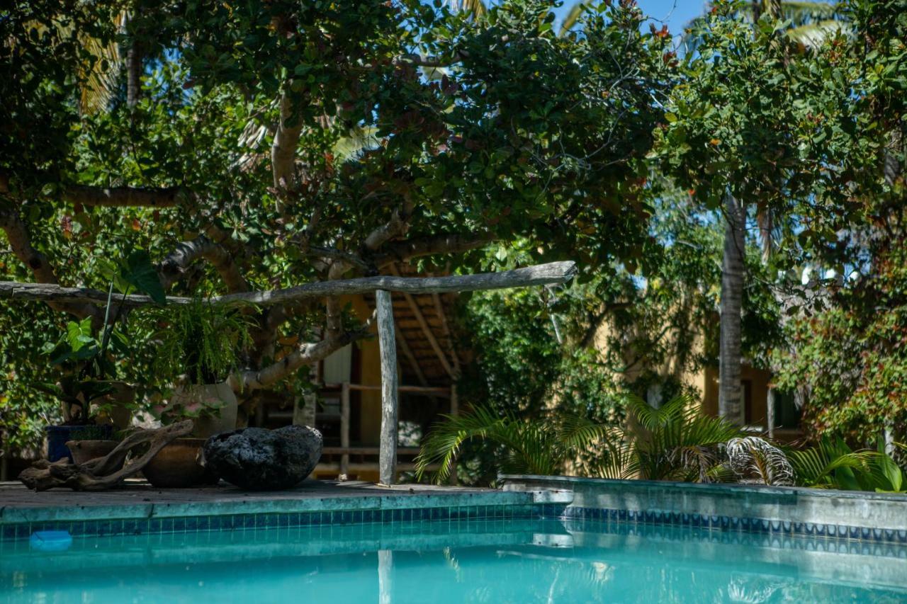 Turtle Cove Lodge And Yoga Shala Tofo Exterior photo